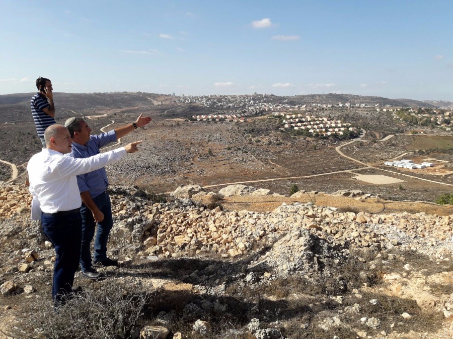 תצפית מעמונה