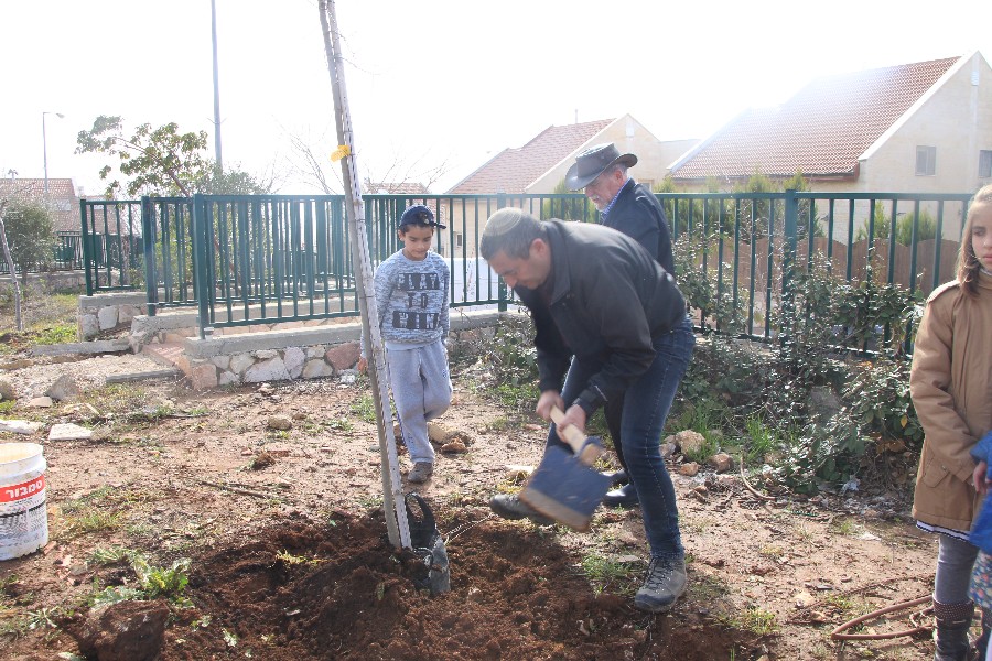 נטיעות בתשעת הבתים ביום השנה להריסתם