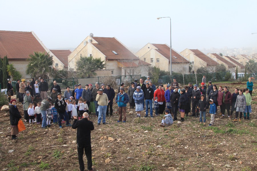 נטיעות בתשעת הבתים ביום השנה להריסתם