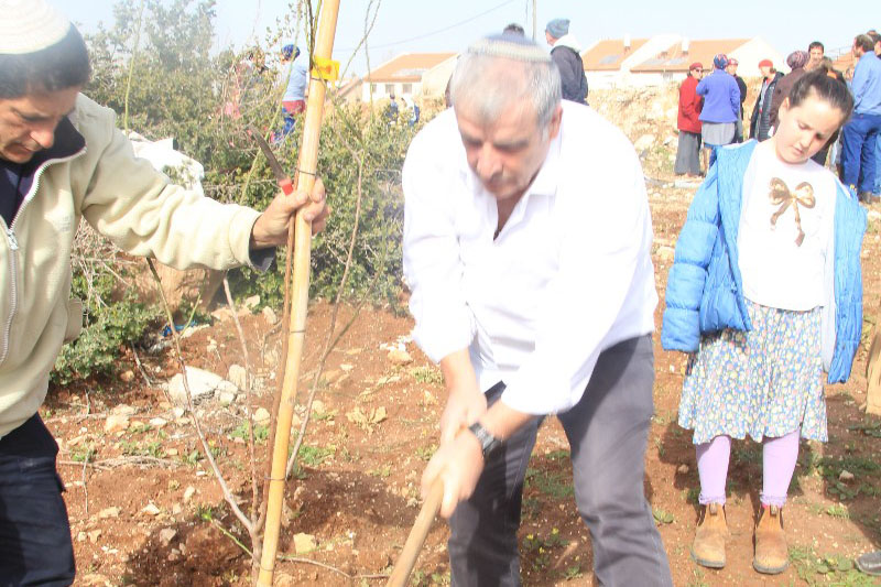 נטיעות בתשעת הבתים ביום השנה להריסתם