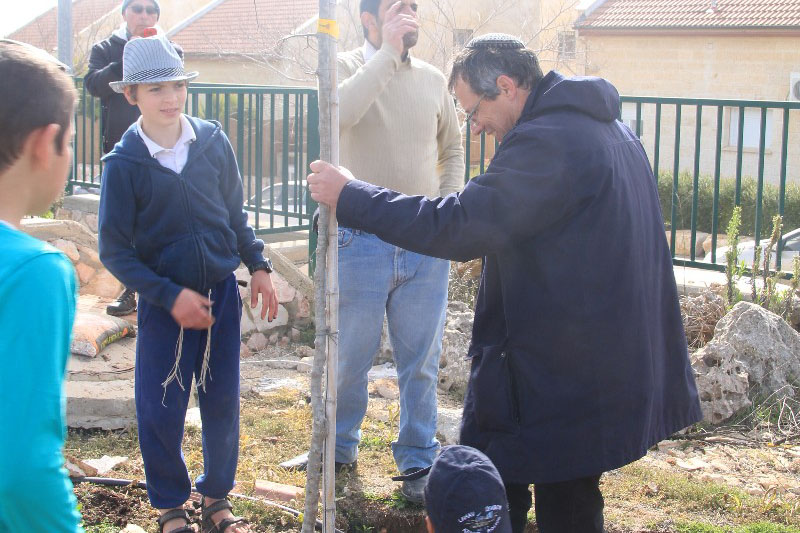 נטיעות בתשעת הבתים ביום השנה להריסתם