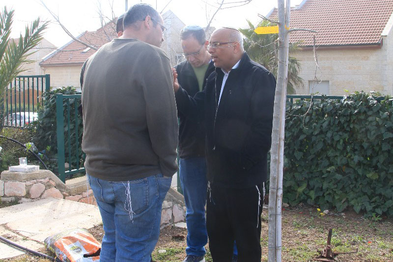 נטיעות בתשעת הבתים ביום השנה להריסתם