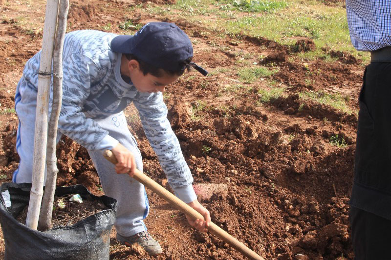 נטיעות בתשעת הבתים ביום השנה להריסתם