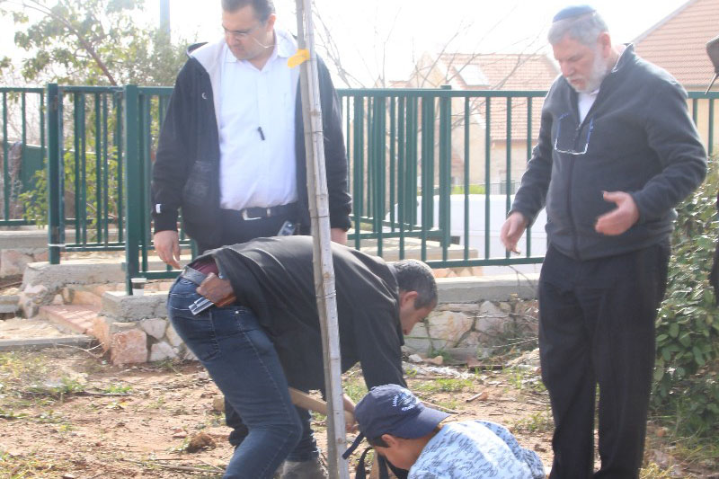 נטיעות בתשעת הבתים ביום השנה להריסתם