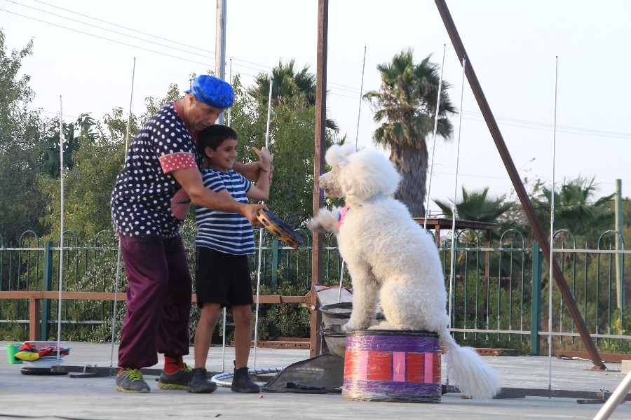 קרקס פסטיבלי באמפי עפרה י"ג באב תשע"ח