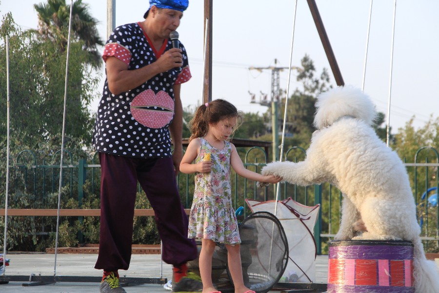 קרקס פסטיבלי באמפי עפרה י"ג באב תשע"ח