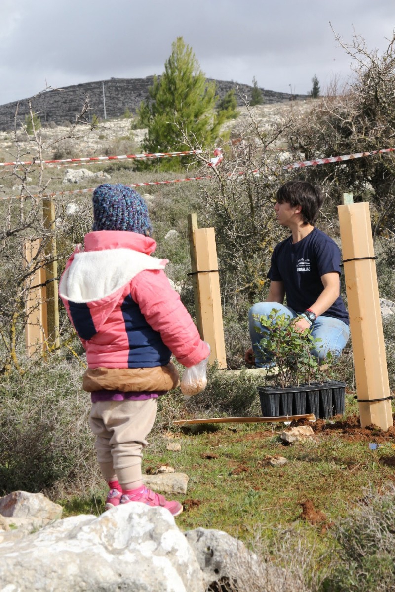 נוער עפרה באירוע נטיעת חורשה לזכר עמיעד ישראל - התינוק שנרצח בפיגוע בכניסה ליישוב