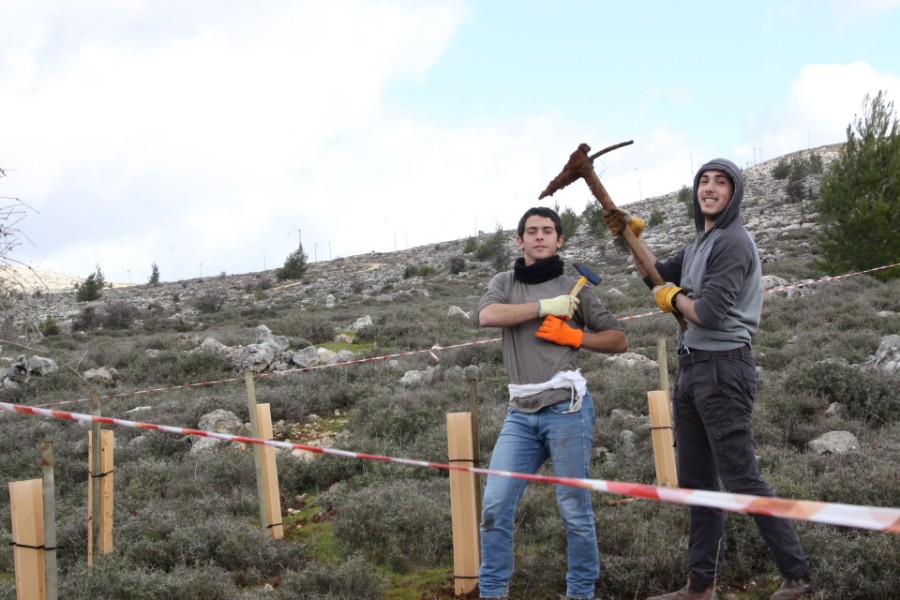 נוער עפרה באירוע נטיעת חורשה לזכר עמיעד ישראל - התינוק שנרצח בפיגוע בכניסה ליישוב