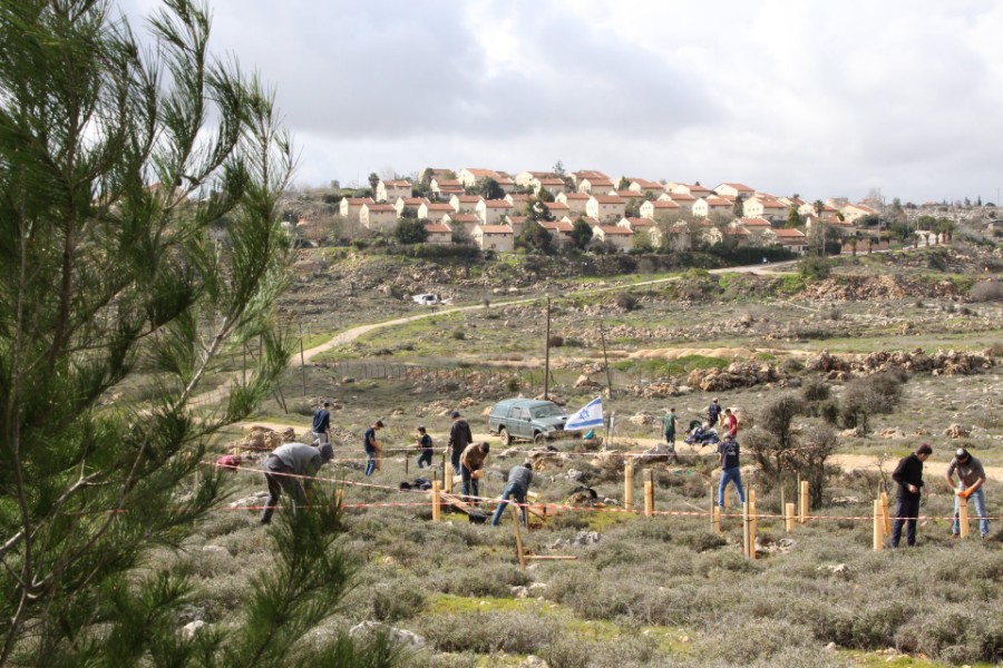 נוער עפרה באירוע נטיעת חורשה לזכר עמיעד ישראל - התינוק שנרצח בפיגוע בכניסה ליישוב