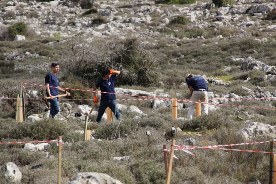 נוער עפרה באירוע נטיעת חורשה לזכר עמיעד ישראל - התינוק שנרצח בפיגוע בכניסה ליישוב