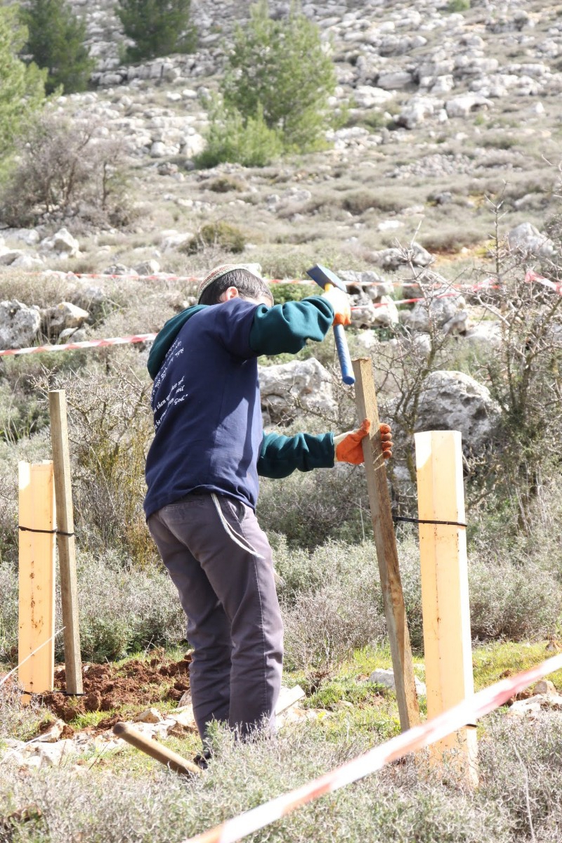 נוער עפרה באירוע נטיעת חורשה לזכר עמיעד ישראל - התינוק שנרצח בפיגוע בכניסה ליישוב