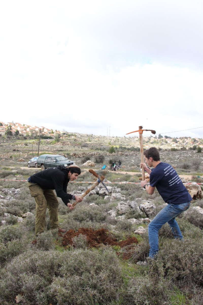 נוער עפרה באירוע נטיעת חורשה לזכר עמיעד ישראל - התינוק שנרצח בפיגוע בכניסה ליישוב