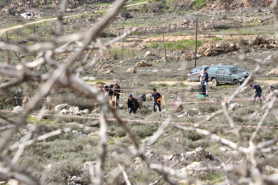 נוער עפרה באירוע נטיעת חורשה לזכר עמיעד ישראל - התינוק שנרצח בפיגוע בכניסה ליישוב