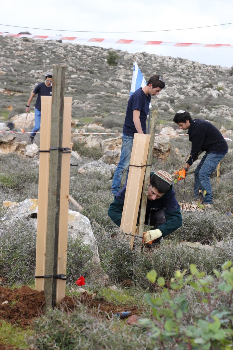 נוער עפרה באירוע נטיעת חורשה לזכר עמיעד ישראל - התינוק שנרצח בפיגוע בכניסה ליישוב