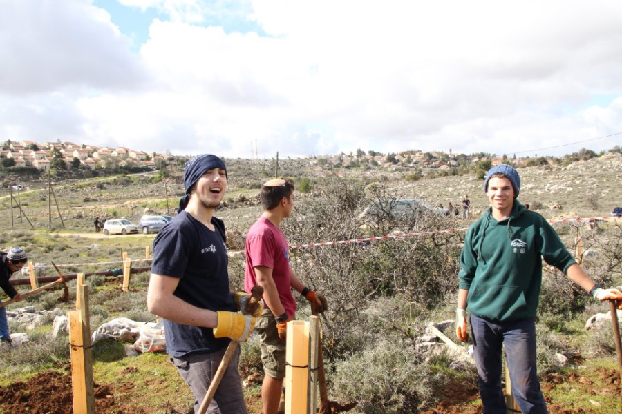 נוער עפרה באירוע נטיעת חורשה לזכר עמיעד ישראל - התינוק שנרצח בפיגוע בכניסה ליישוב