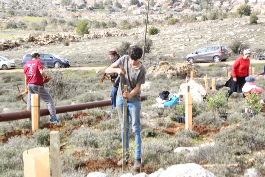 נוער עפרה באירוע נטיעת חורשה לזכר עמיעד ישראל - התינוק שנרצח בפיגוע בכניסה ליישוב