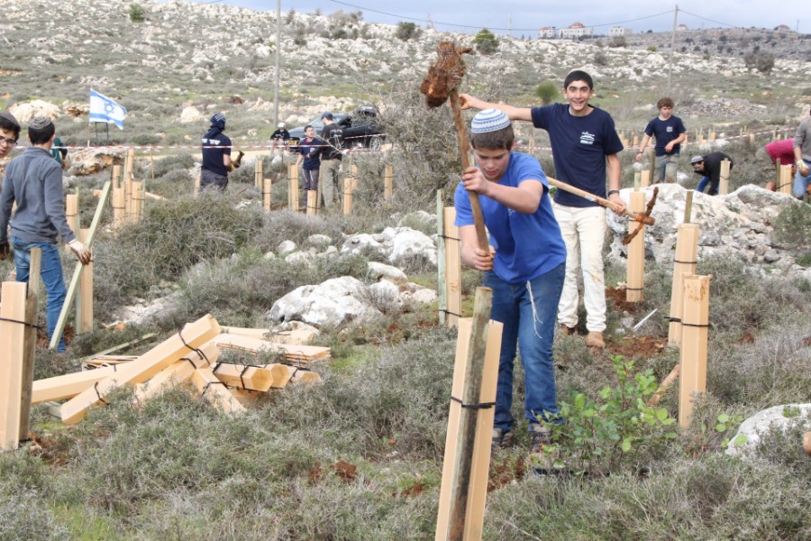 נוער עפרה באירוע נטיעת חורשה לזכר עמיעד ישראל - התינוק שנרצח בפיגוע בכניסה ליישוב