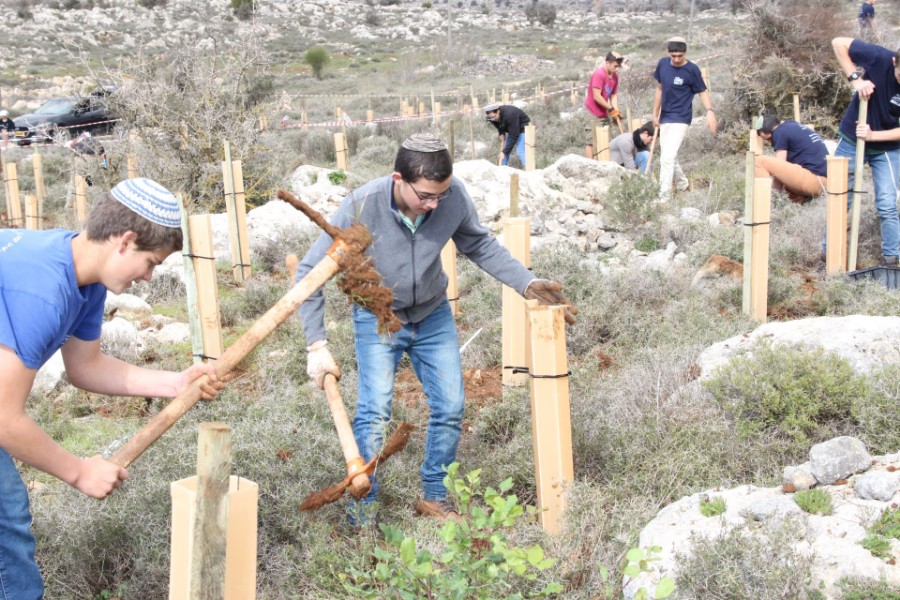 נוער עפרה באירוע נטיעת חורשה לזכר עמיעד ישראל - התינוק שנרצח בפיגוע בכניסה ליישוב