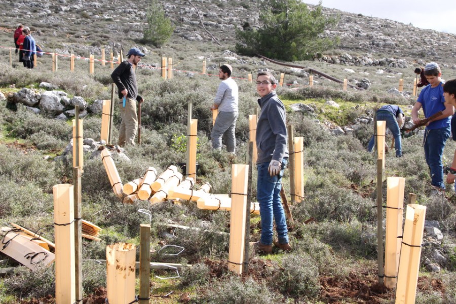 נוער עפרה באירוע נטיעת חורשה לזכר עמיעד ישראל - התינוק שנרצח בפיגוע בכניסה ליישוב