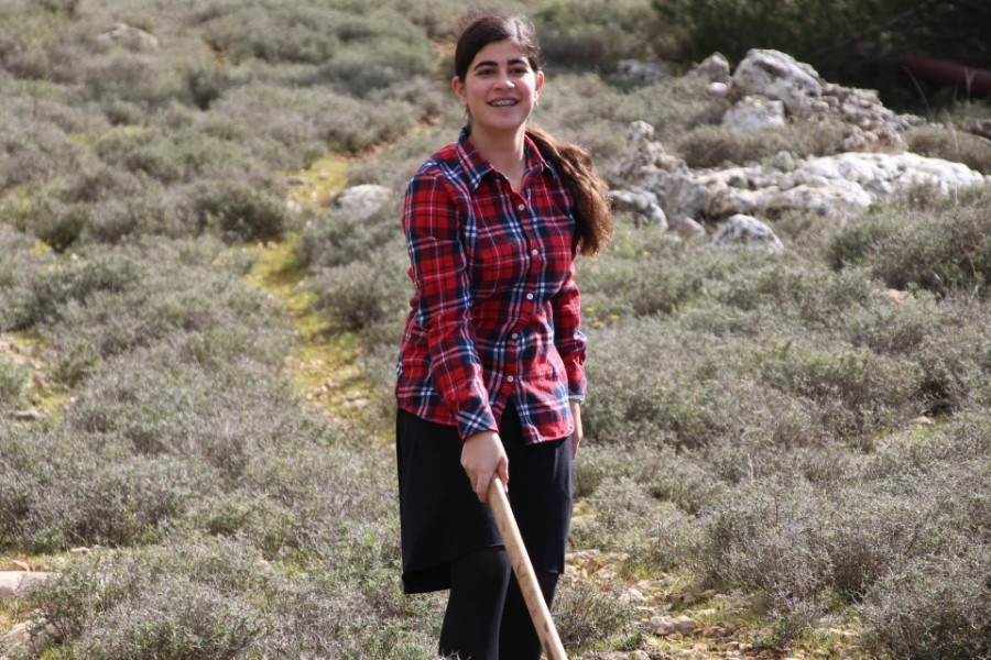 נוער עפרה באירוע נטיעת חורשה לזכר עמיעד ישראל - התינוק שנרצח בפיגוע בכניסה ליישוב