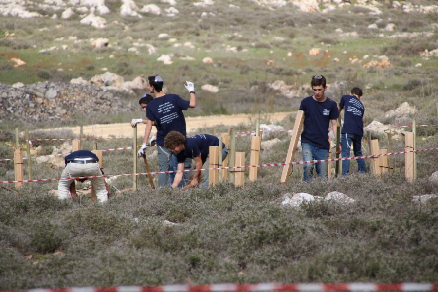 נוער עפרה באירוע נטיעת חורשה לזכר עמיעד ישראל - התינוק שנרצח בפיגוע בכניסה ליישוב