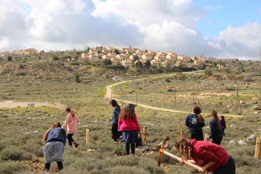 נוער עפרה באירוע נטיעת חורשה לזכר עמיעד ישראל - התינוק שנרצח בפיגוע בכניסה ליישוב