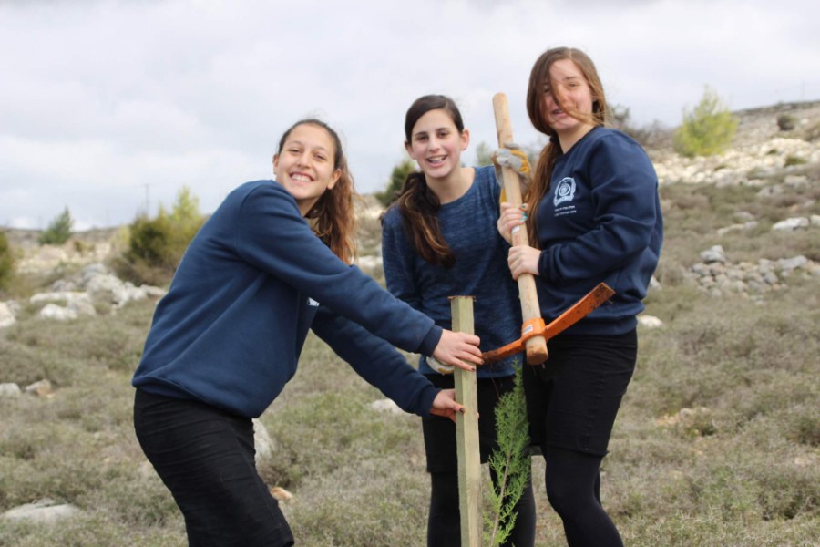 נוער עפרה באירוע נטיעת חורשה לזכר עמיעד ישראל - התינוק שנרצח בפיגוע בכניסה ליישוב