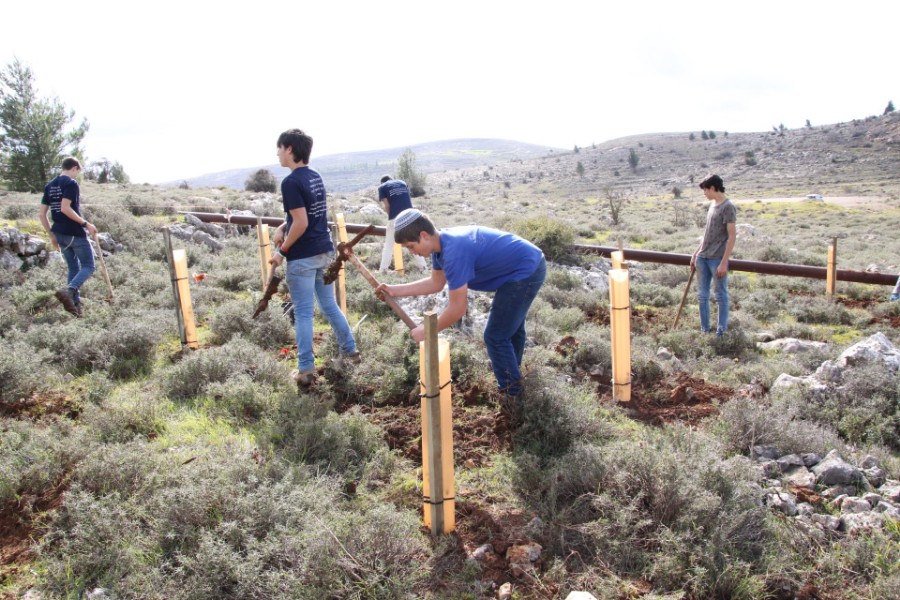 נוער עפרה באירוע נטיעת חורשה לזכר עמיעד ישראל - התינוק שנרצח בפיגוע בכניסה ליישוב