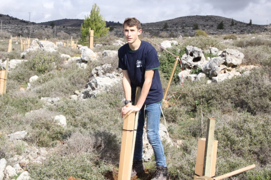 נוער עפרה באירוע נטיעת חורשה לזכר עמיעד ישראל - התינוק שנרצח בפיגוע בכניסה ליישוב