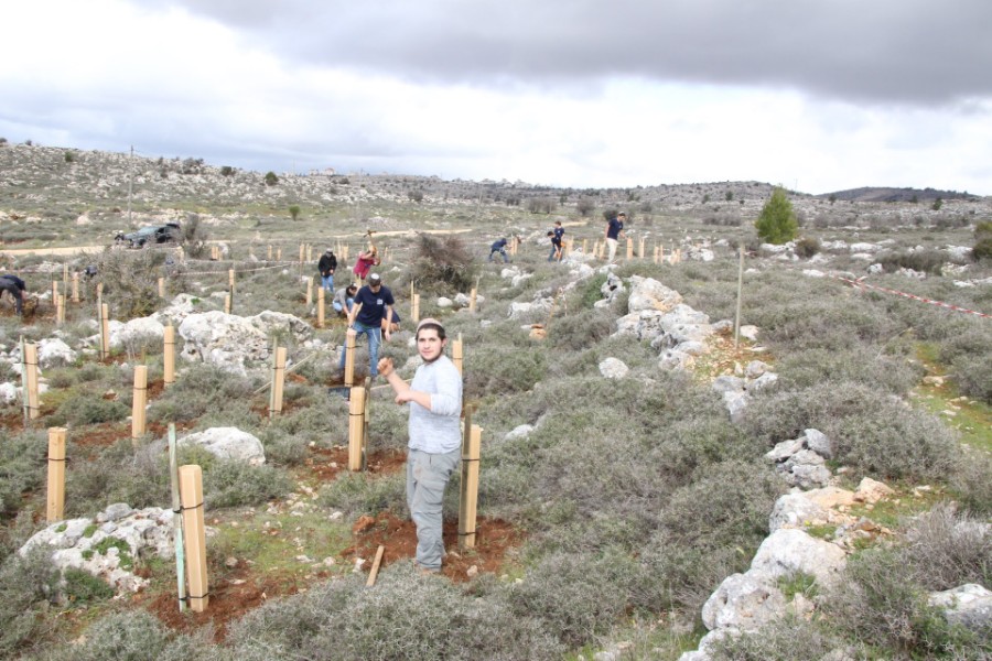 נוער עפרה באירוע נטיעת חורשה לזכר עמיעד ישראל - התינוק שנרצח בפיגוע בכניסה ליישוב