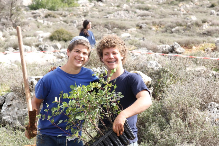 נוער עפרה באירוע נטיעת חורשה לזכר עמיעד ישראל - התינוק שנרצח בפיגוע בכניסה ליישוב