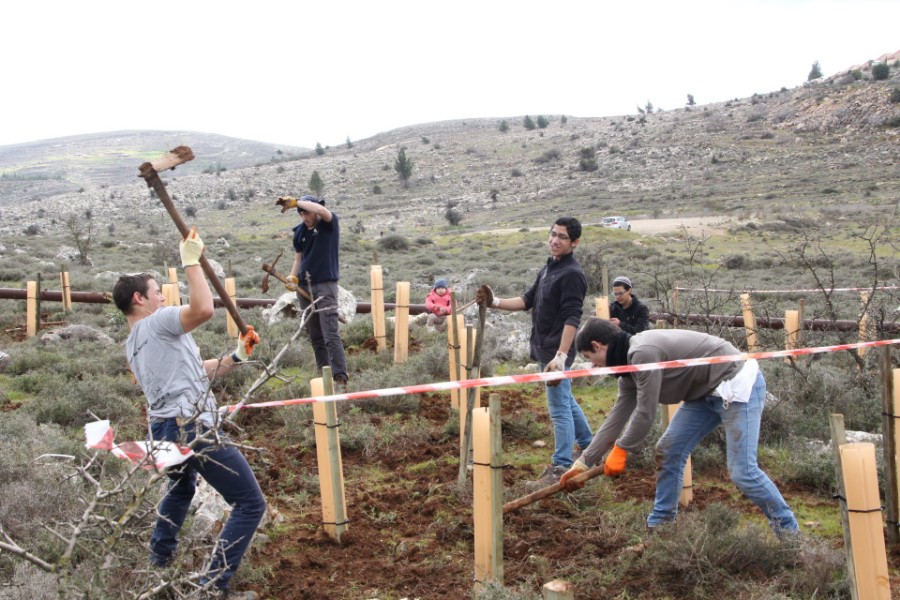 נוער עפרה באירוע נטיעת חורשה לזכר עמיעד ישראל - התינוק שנרצח בפיגוע בכניסה ליישוב