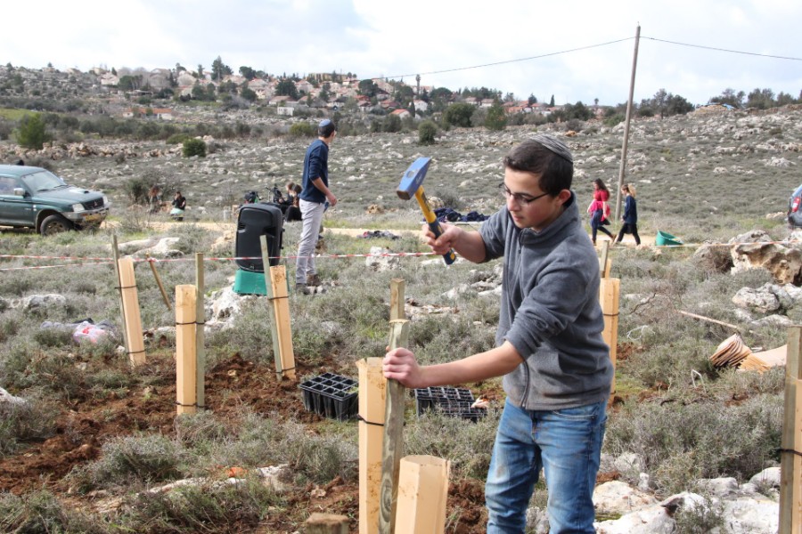 נוער עפרה באירוע נטיעת חורשה לזכר עמיעד ישראל - התינוק שנרצח בפיגוע בכניסה ליישוב