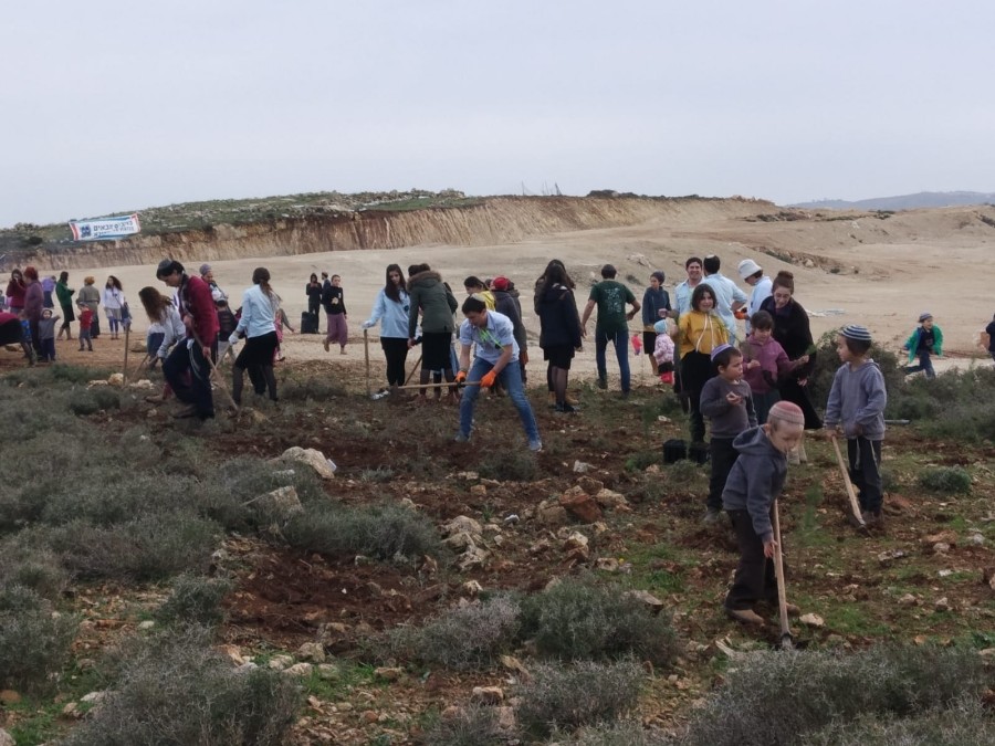 נטיעות בעמיחי בהובלת צוות נחשון