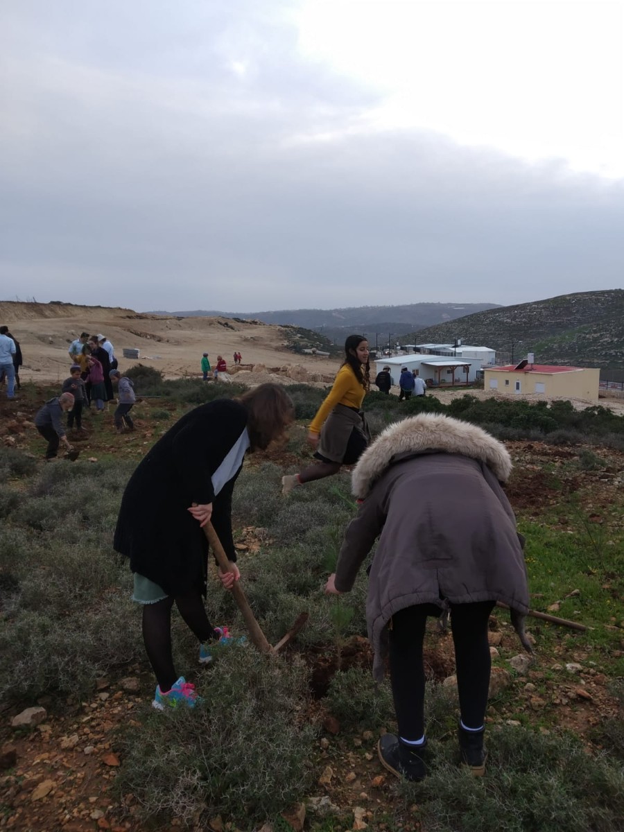 נטיעות בעמיחי בהובלת צוות נחשון