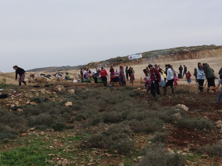 נטיעות בעמיחי בהובלת צוות נחשון