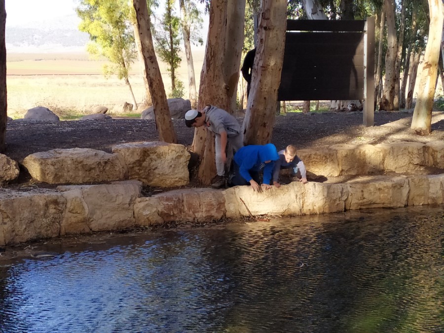 טיול משפחות לעמק המעיינות - חנוכה תש"פ