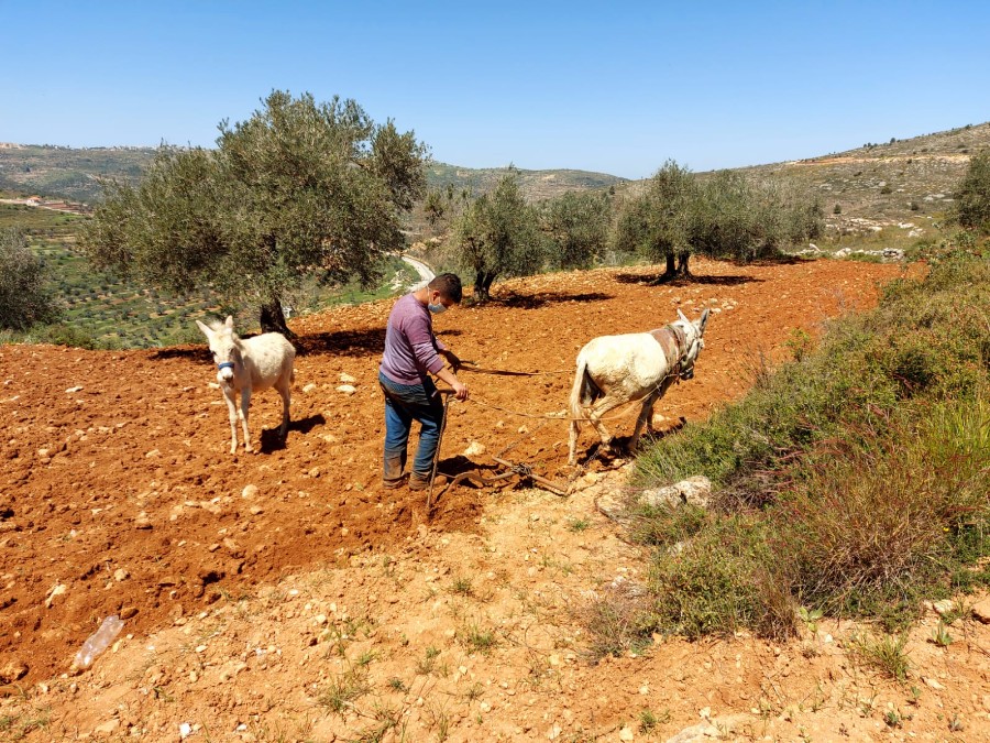 מסע עמרם תשפ"א - מסלולים סובבי עפרה