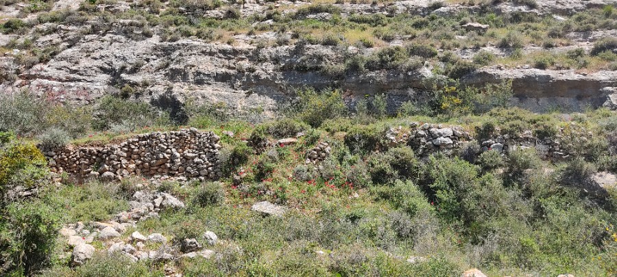 מסע עמרם תשפ"א - מסלולים סובבי עפרה